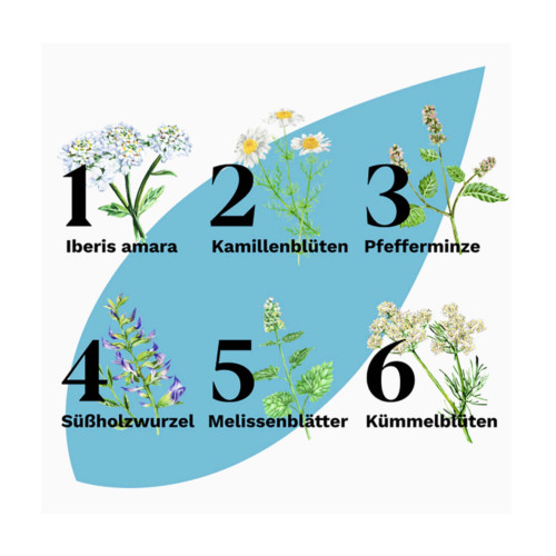 Iberogast Advance - bei h&auml;ufigen Magen-Darm-Beschwerden