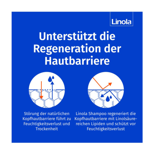 Linola Shampoo
