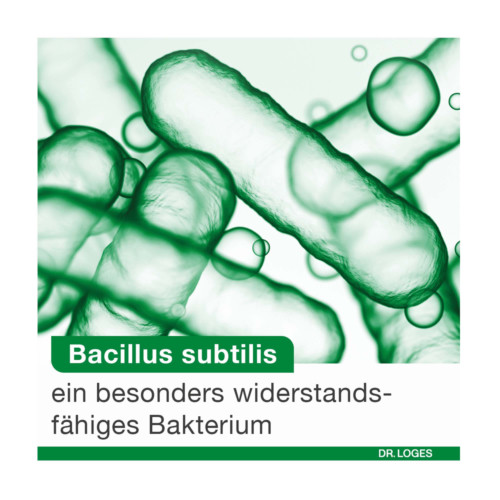 BioticLoges subtilis Kapseln