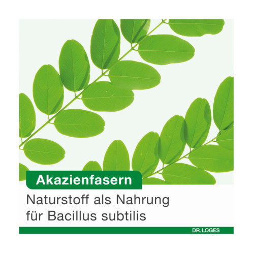 BioticLoges subtilis Kapseln