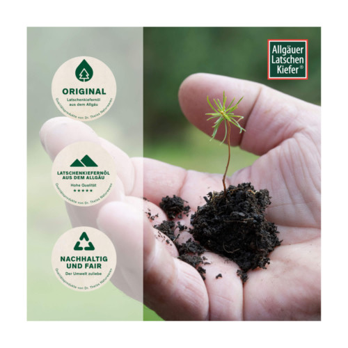 Allg&auml;uer Latschenkiefer Franzbranntwein