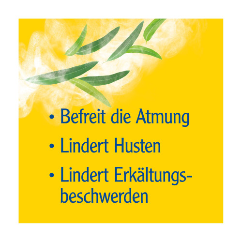 Pinimenthol Erk&auml;ltungsbad f&uuml;r Kinder ab 2 Jahren