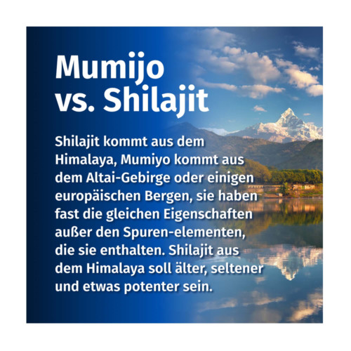 GREEN NATURALS Shilajit 1300 mg hochdosiert vegan