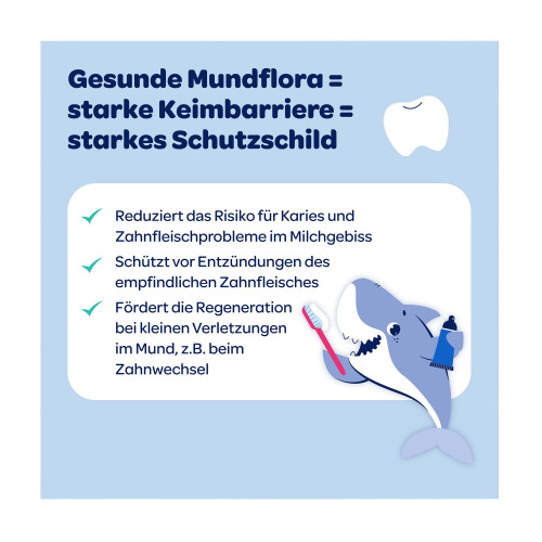 Dentinox Zahncreme Mundflora+ Kids