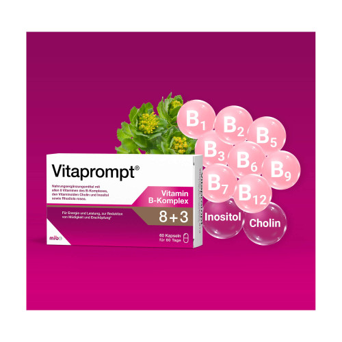Vitaprompt Vitamin B-Komplex 8+3 Kapseln