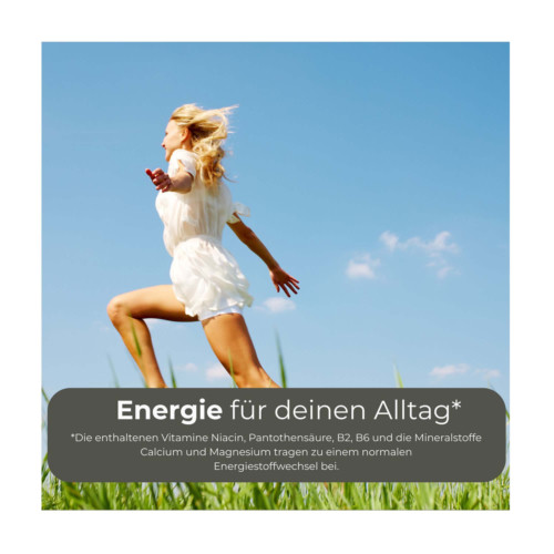 Power Eiwei&szlig; plus Geschmack Vanille