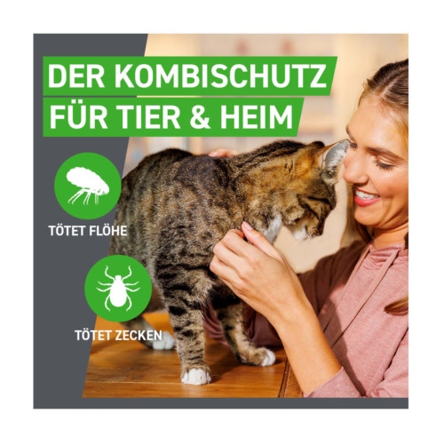 Frontline Combo Spot on Katze