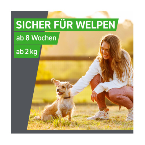 Frontline Combo Spot on Hund M